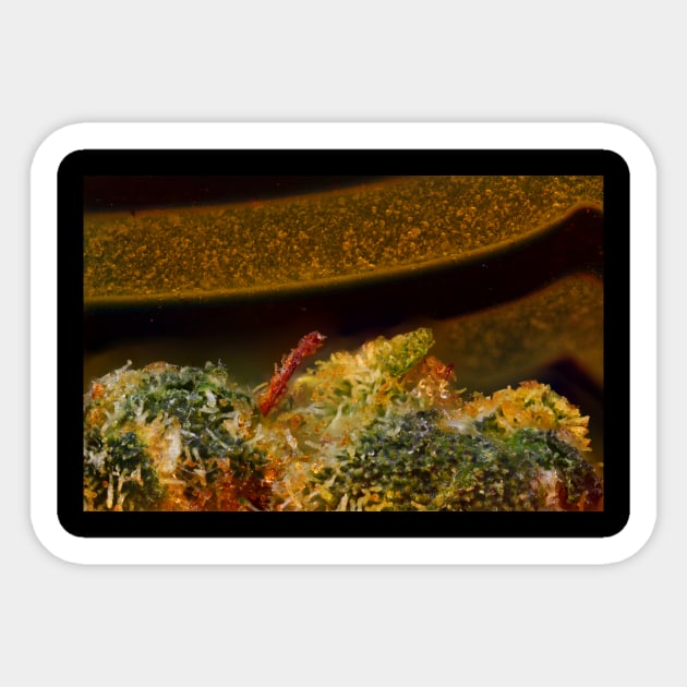 Trichomes and the Glass - Weed Design Sticker by MrGreenGenes420